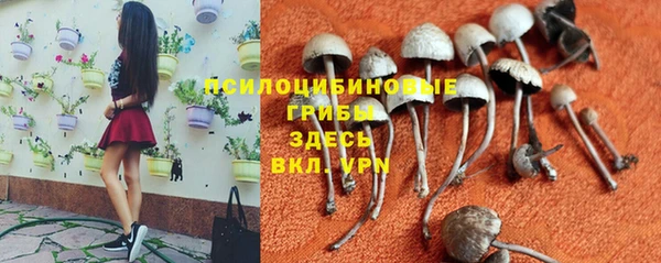 каннабис Куйбышев