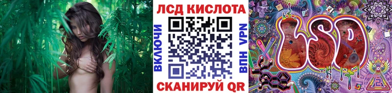 Марки NBOMe 1500мкг  Купить где  Ковдор 