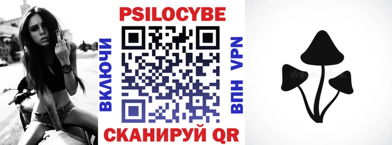 Купить закладки  Ковдор  Псилоцибиновые грибы Psilocybine cubensis 