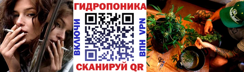 Каннабис OG Kush  Купить  Ковдор 